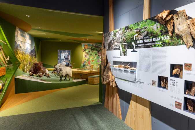 Franz Reifmüller © Ferienregion Nationalpark Hohe Tauern